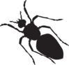 Black Ant Silhouette Clip Art